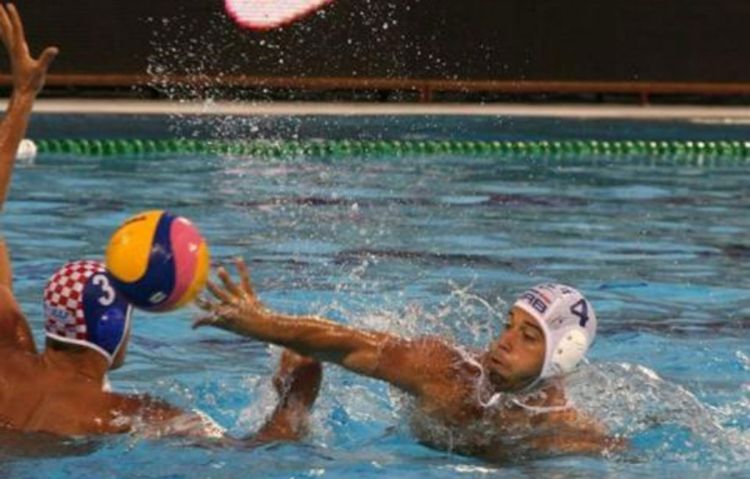 Delfini potopili Australiju