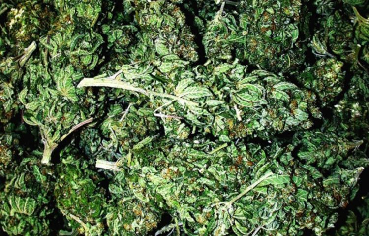 Crnogorac pao sa 12 kilograma skanka