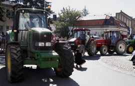 Pljušte uvrede zbog lipicanera 