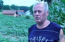 Proizvodi više od 30 tona lubenice