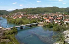 Izbo šurjaka
