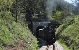 Ćiro stigao u Višegrad