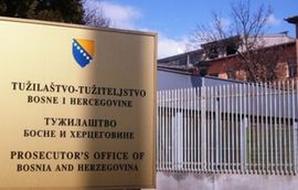 Predložen pritvor za Topalovića