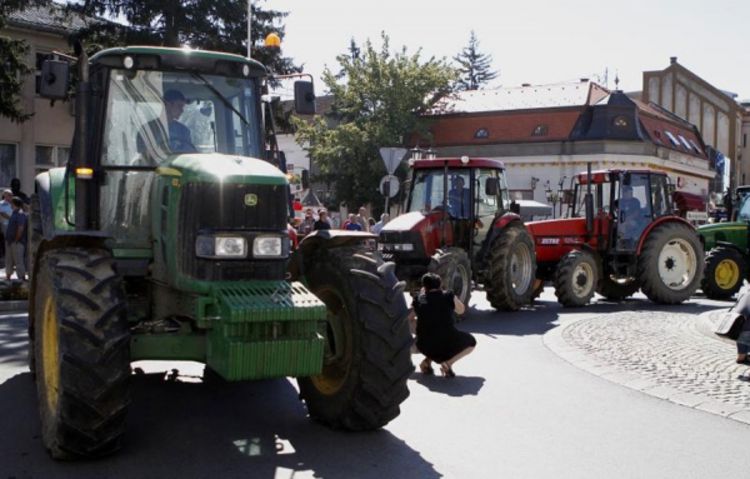 Pljušte uvrede zbog lipicanera 