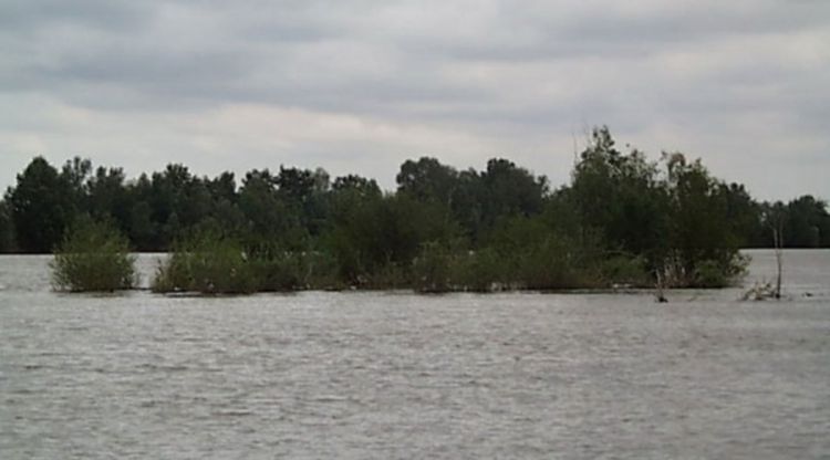 Djevojka se pokliznula iz čamca i utopila u Savi