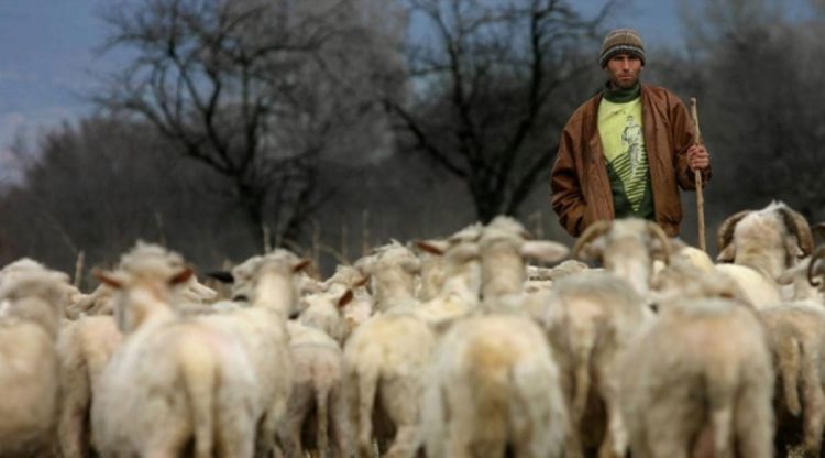 Zaraženi veterinari sami plaćaju liječenje