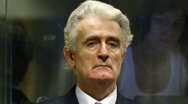 Karadžić traži suspenziju postupka