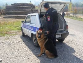 Policija s psima tragala za lopovom