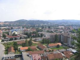 Stradao u požaru u svom stanu