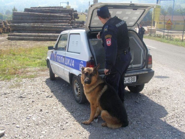 Policija s psima tragala za lopovom