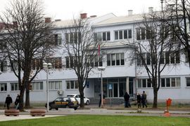 Pao provalnik Džo