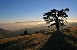 Zemljotres na Kopaoniku