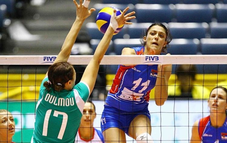 Terzić: Pružili 50 odsto