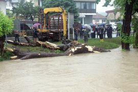 Poplave u Hercegovini, Drina u porastu