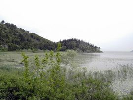 Maksimalan nivo Skadarskog jezera