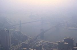 Veća uloga gradova u borbi protiv klimatskih promjena