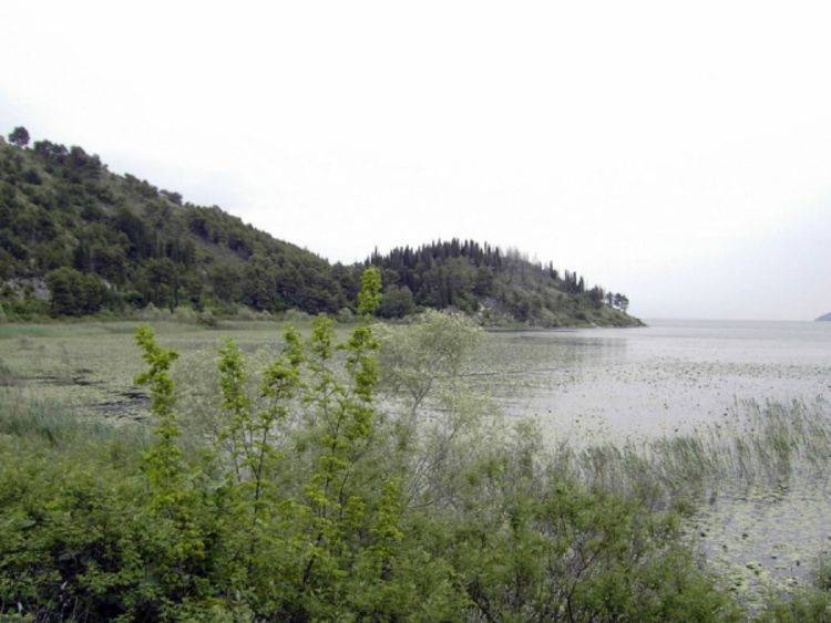 Maksimalan nivo Skadarskog jezera