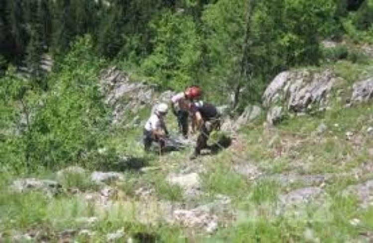 Policija traga za Dušanom Jankovićem
