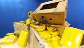 Kokain švercovali u plastičnim bananama