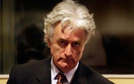 Karadžić: Muslimanske snage pucale na djecu