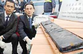 Zaplijenjeno 290 kilograma kokaina