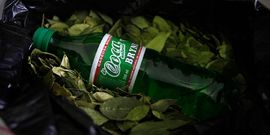Bolivija krenula u proizvodnju pića na bazi lišća koke