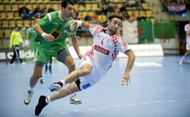Balić: Gadi mi se rukomet