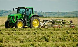 USDA odobrila gajenje GM lucerke