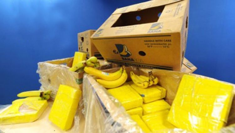 Kokain švercovali u plastičnim bananama