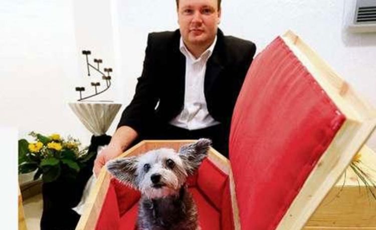 Pas testira mrtvačke sanduke