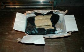 Zaplijenjeno više od 20 kilograma skanka