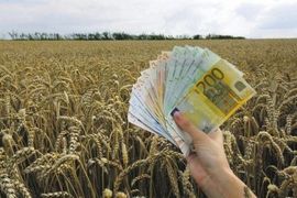 Pozvali poljoprivrednike da se prijave za regresirano vještačko ...