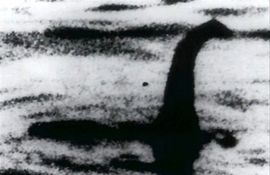 Misteriozno čudovište iz jezera Vindermar (VIDEO)