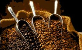Cijena kafe najviša za 30 godina