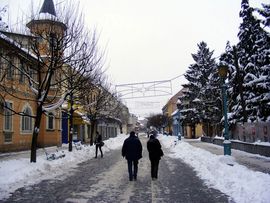 Rodić: Napustio sam PDP, jer nisam imao pravo na svoj stav