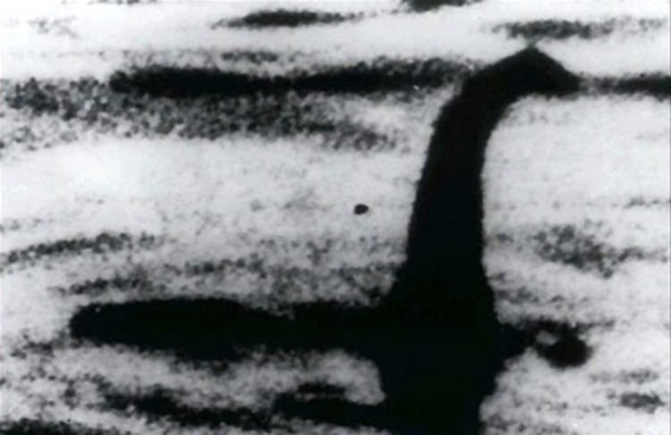 Misteriozno čudovište iz jezera Vindermar (VIDEO)