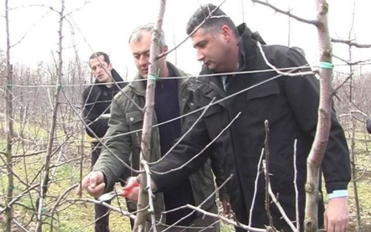 Ministar u Prijedoru orezivao voćke