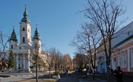 Bečejci napali i povrijedili gosta iz Hrvatske