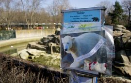 Spomenik polarnom medvjedu Knutu