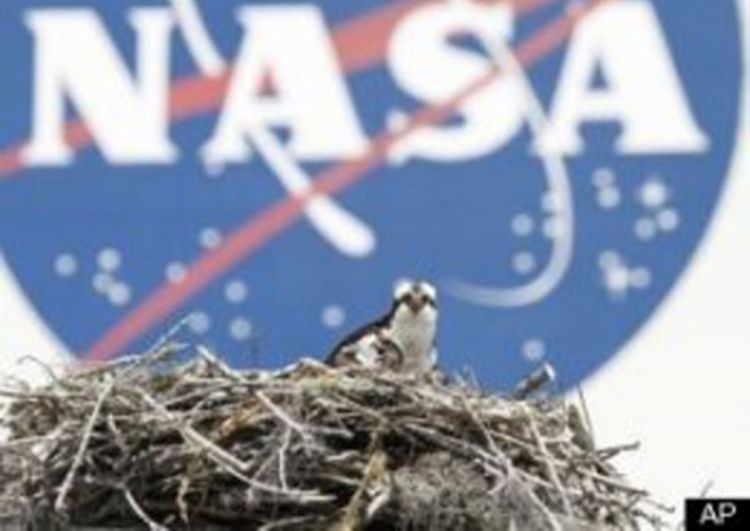 NASA: Nema dokaza o postojanju vanzemaljskih bakterija