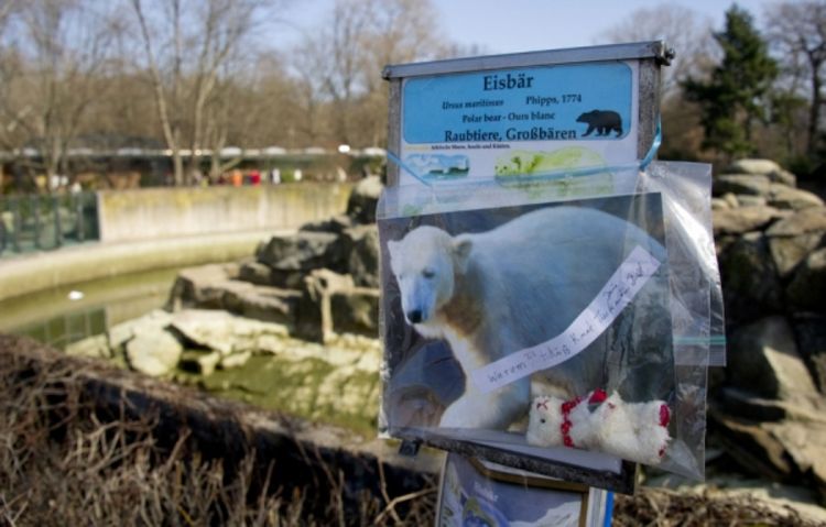 Spomenik polarnom medvjedu Knutu
