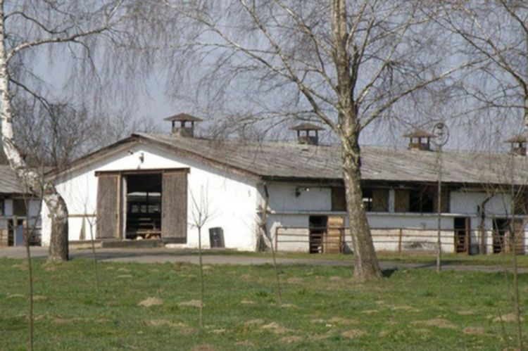 Radnika samljela drobilica za stočnu hranu