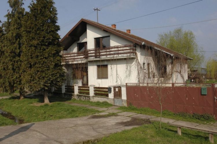Pustila pse da ga izgrizu do smrti jer joj je prolio med