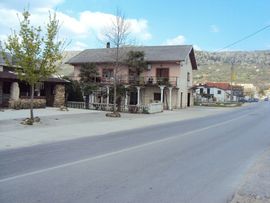 Prošao kroz crveno i ubio majku troje djece