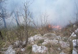 Ne jenjava požar na Ljubomiru