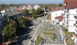 Izvadili mrtve svinje iz rijeke