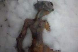 U Rusiji pronađen mrtav vanzemaljac? (Video)