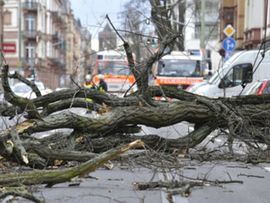 Nevrijeme u Kini: 17 poginulih, 150 povrijeđenih