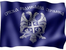 Radikali osuđuju izjave o podjeli Kosova