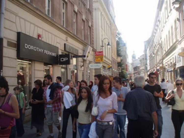 BiH neće popisati stanovništvo
